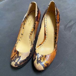 COACH Buffy Printed Python Platform Pumps